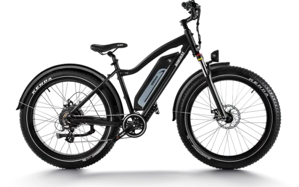 Himiway D3 - Cruiser