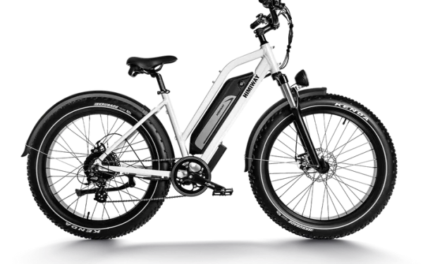 Himiway  D3 ST - Cruiser